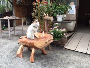 イノシシと木馬が完成しました
